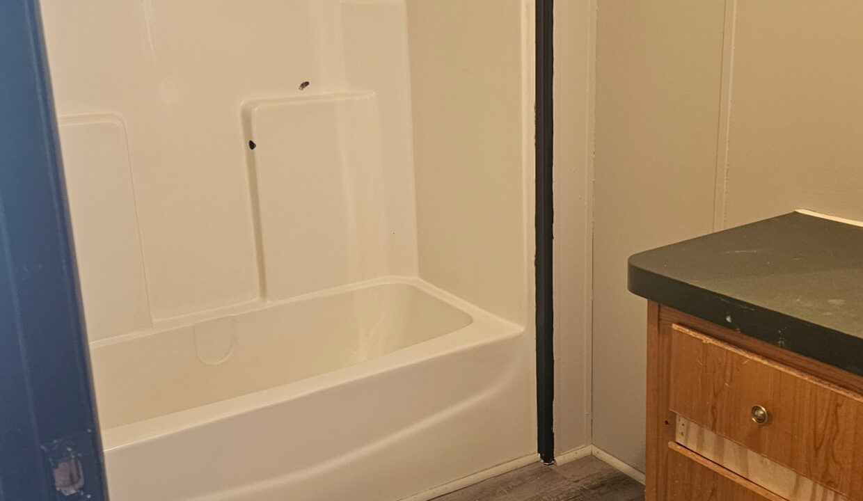 532 EAGLENEST BATHROOM